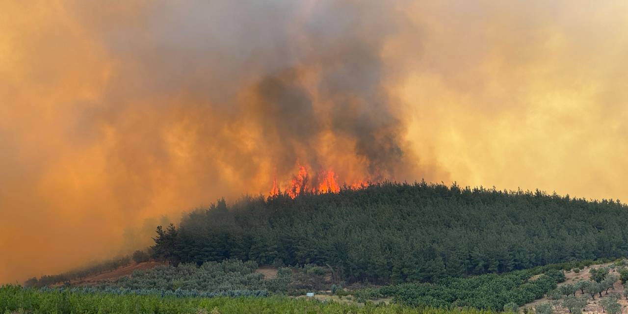 Bursa ve Karabük'te korkutan orman yangını