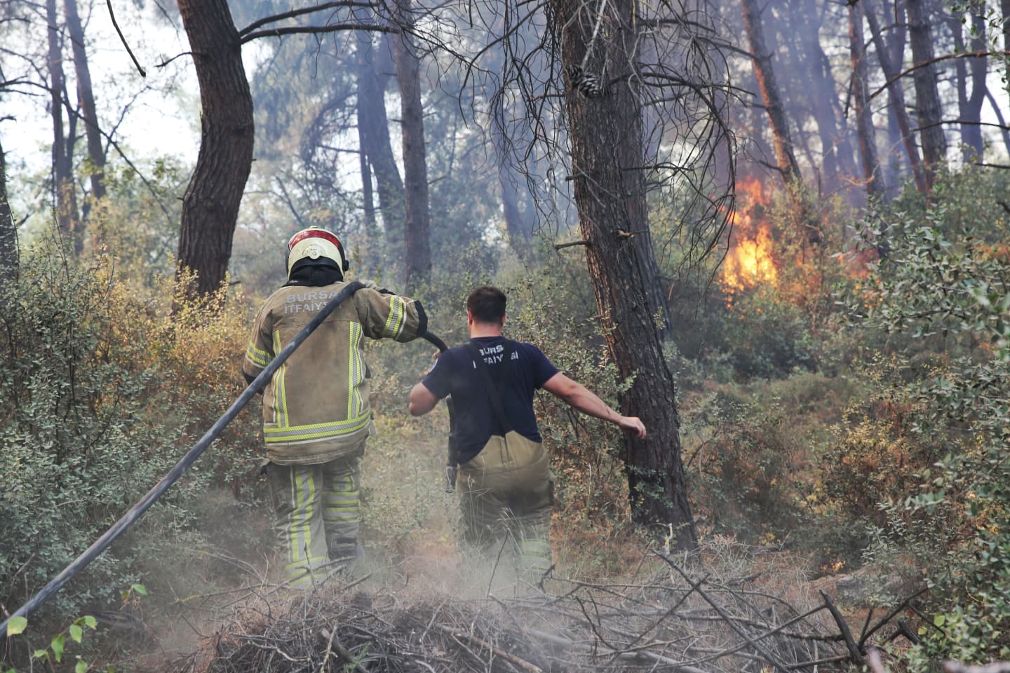 Büyükşehir’den Gündoğdu yangını seferberliği