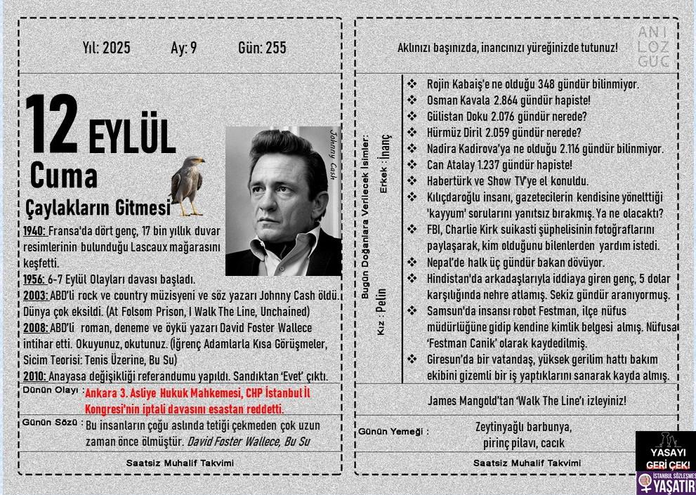 Çaylakların Gitmesi