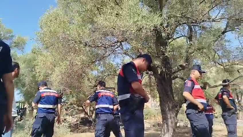 Akbelen’de zeytin ağaçlarının kesimine direnen muhtar ve köylüler gözaltına alındı