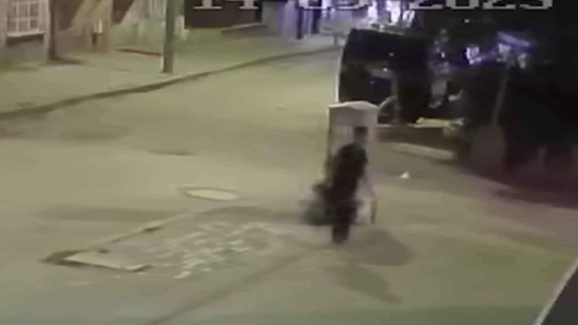 Aksaray'da kimliği belirsiz bir kişi, yavru kediye işkence ederek öldürdü