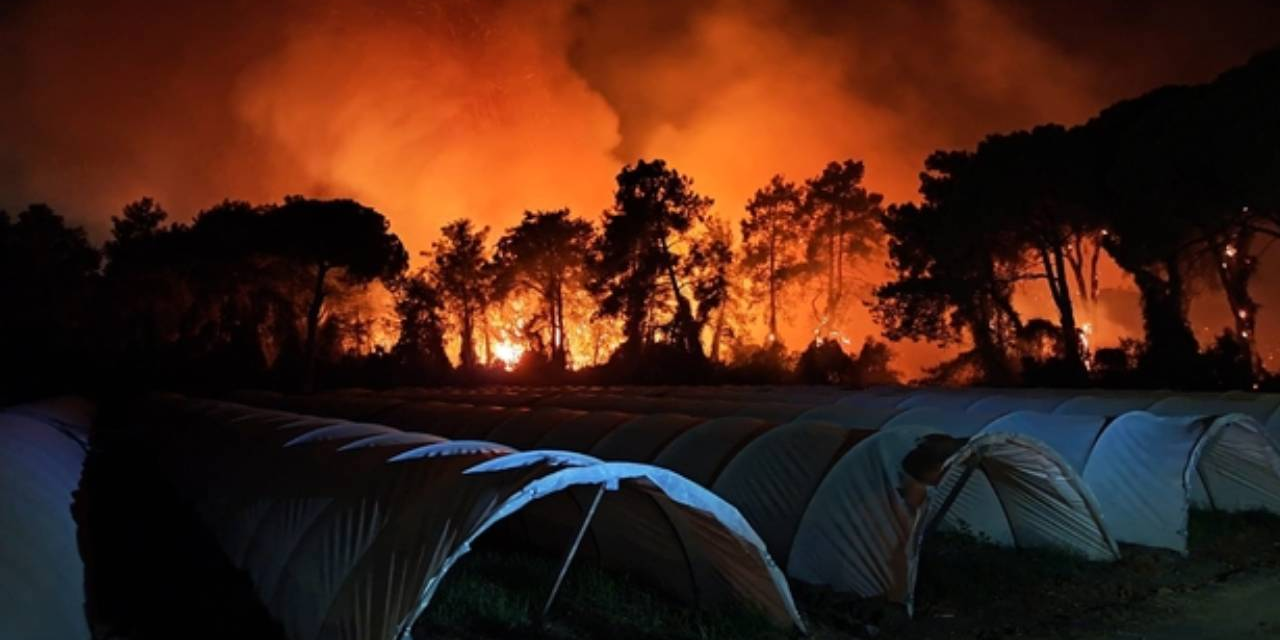 Antalya’da orman yangını alarmı! 2 otel tahliye edildi