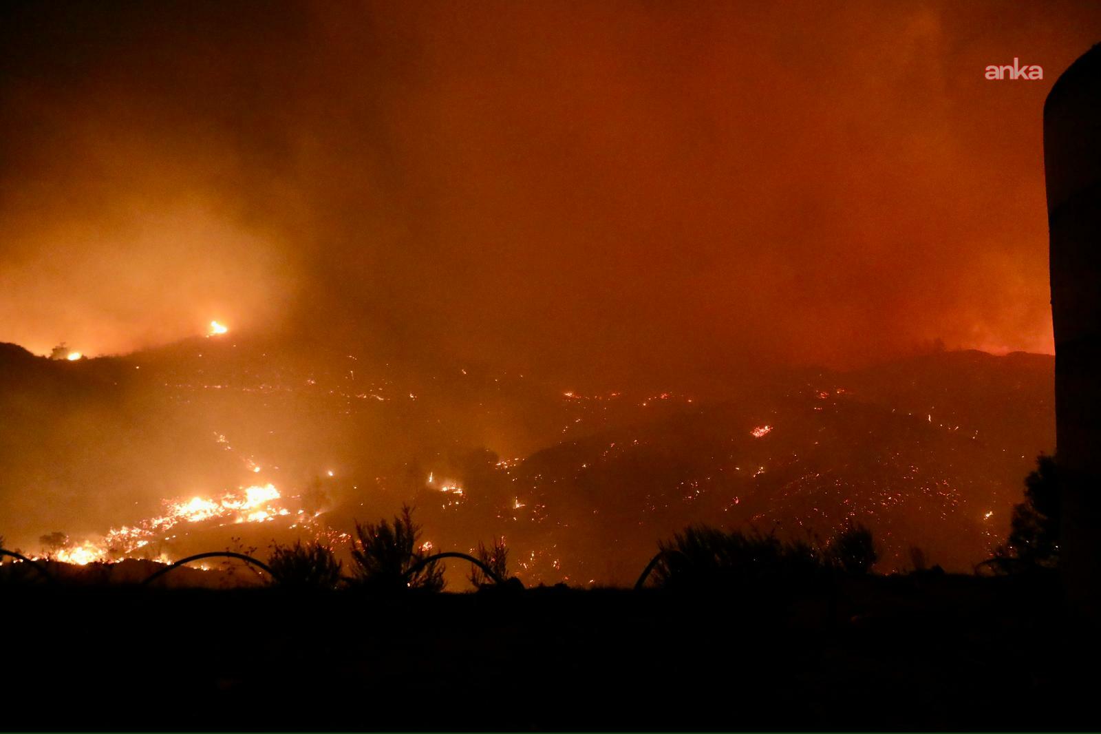 Alanya Aliefendi Mahallesi'nde başlayan orman yangını kontrol altına alındı