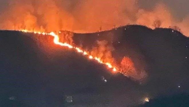 Trabzon'da ormanlık alanda yangın çıktı: Alevler bir anda yükseldi