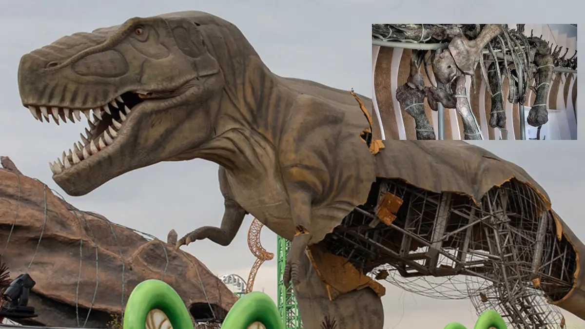 Ankara'da değil Arjantin'de: 70 milyon yaşındaki dinozor son yemeğiyle bulundu