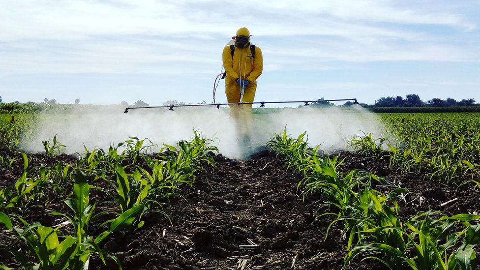 AB gıda ürünlerini Türkiye'ye iade ediyor: Zehirli gıdalar soframıza mı dönüyor?