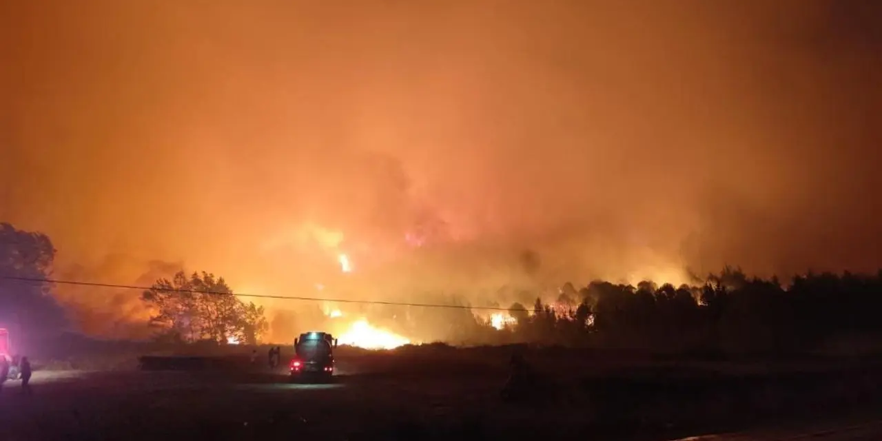 Bursa'da orman yangını: Alevler köylere ilerliyor...