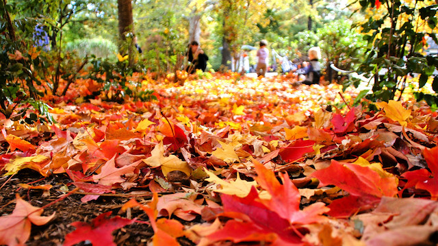 Meteoroloji açıkladı: Yurt genelinde sonbahar yağışları başlıyor