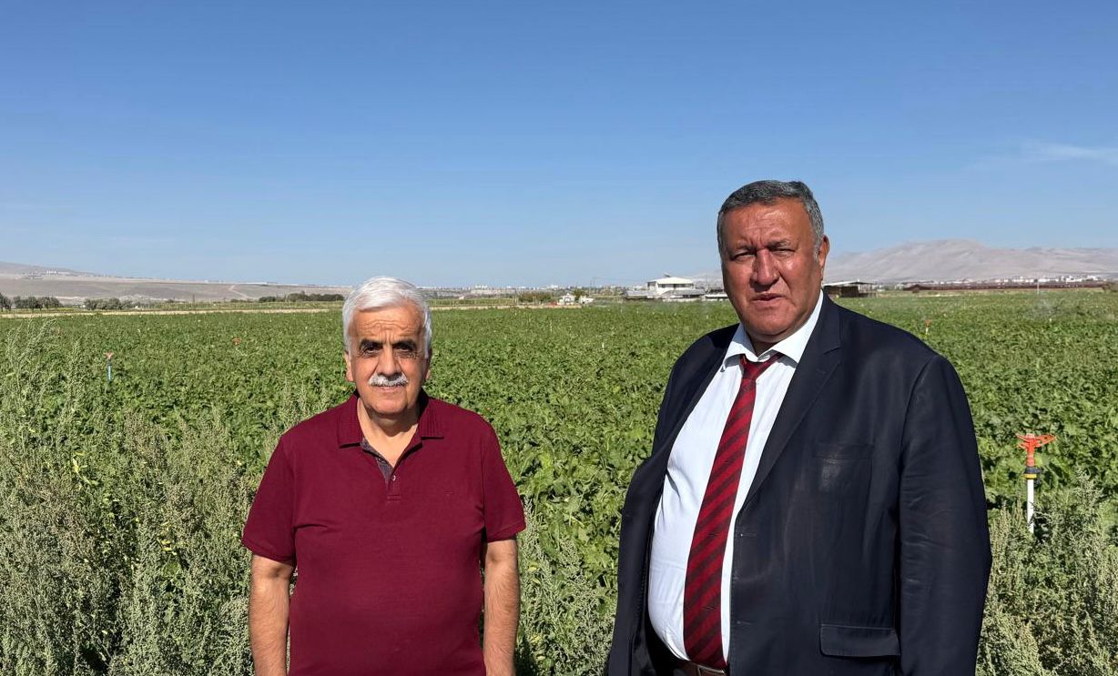 Şeker pancarında alım var, fiyat yok: Gürer’den Bakanlığa çağrı