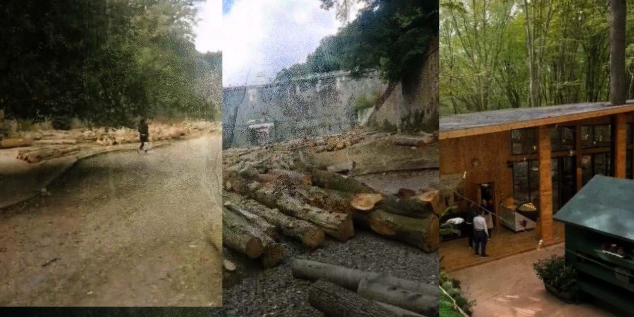 Belgrad Ormanı'nda ağaç katliamı iddiası: Tesis adı altında ağaç kesimi