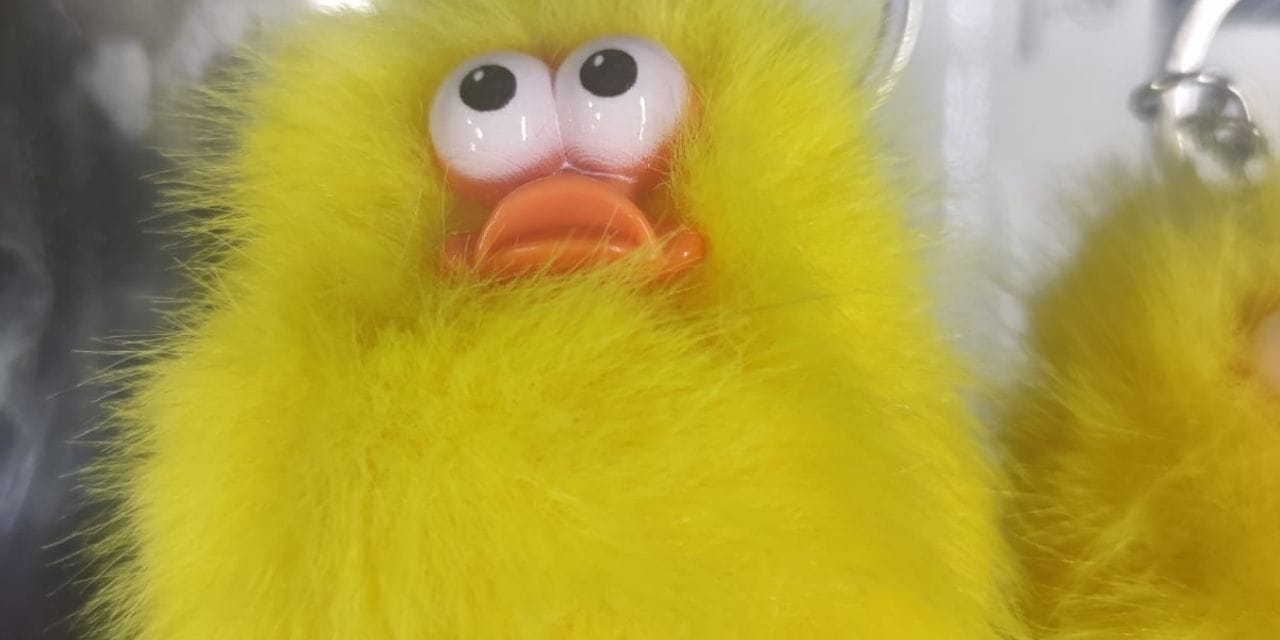 İki 'yumuşak oyuncak' hakkında toplatma kararı: Sarı civciv ve yeşil kaplumbağa anahtarlığa yasak