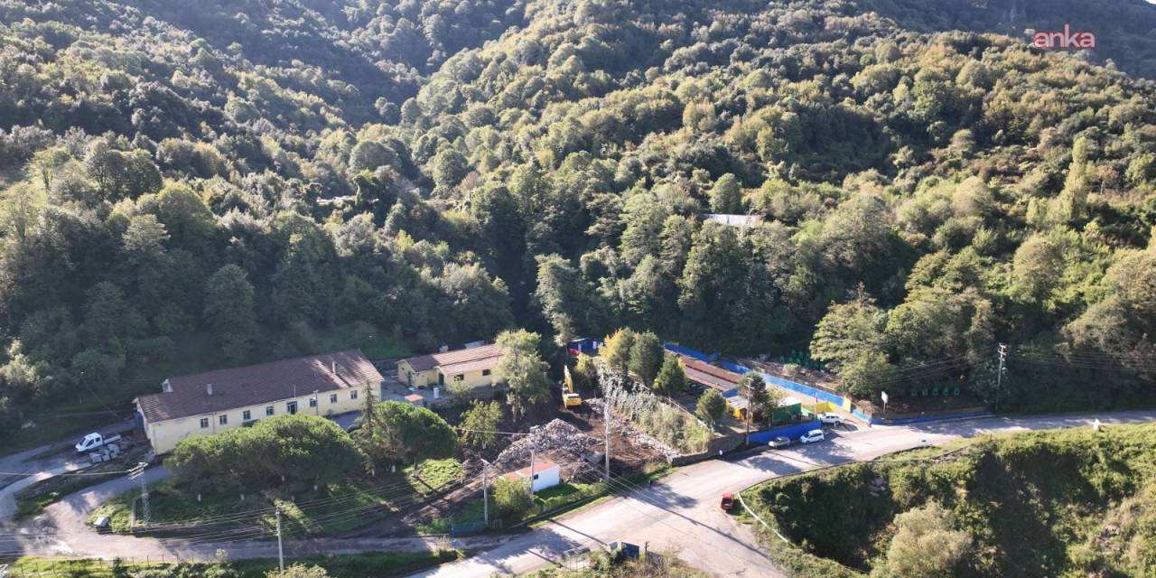 Karadeniz Ereğli'de sokak hayvanları için yeni adım