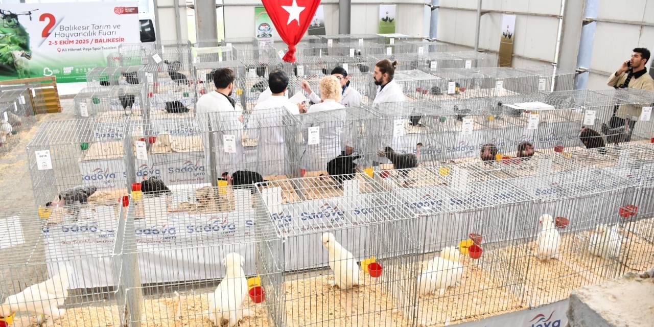 Balıkesir'de tarım ve hayvancılık şöleni sona erdi