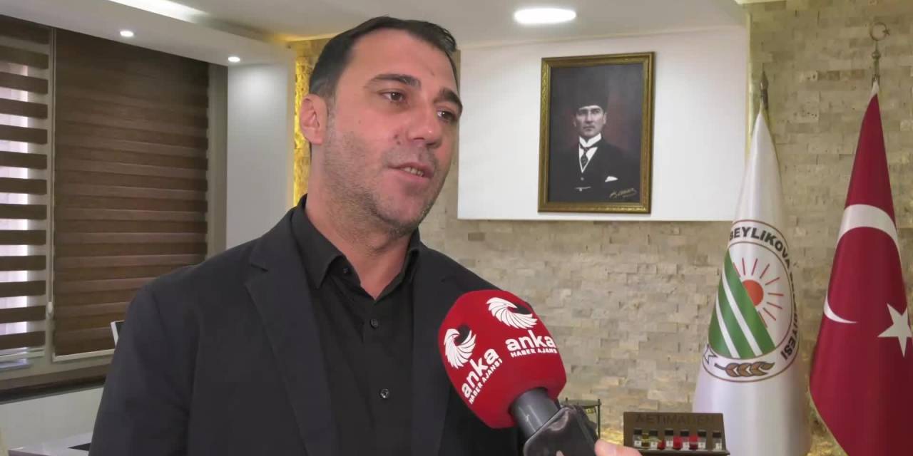 Beylikova'da değerli madenler için çağrı