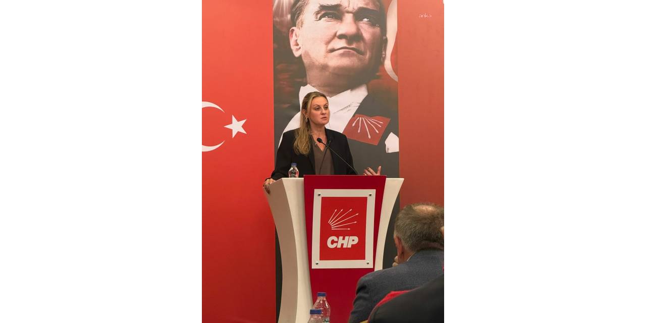 CHP'li Ösen: nadir toprak elementleri tehlikede