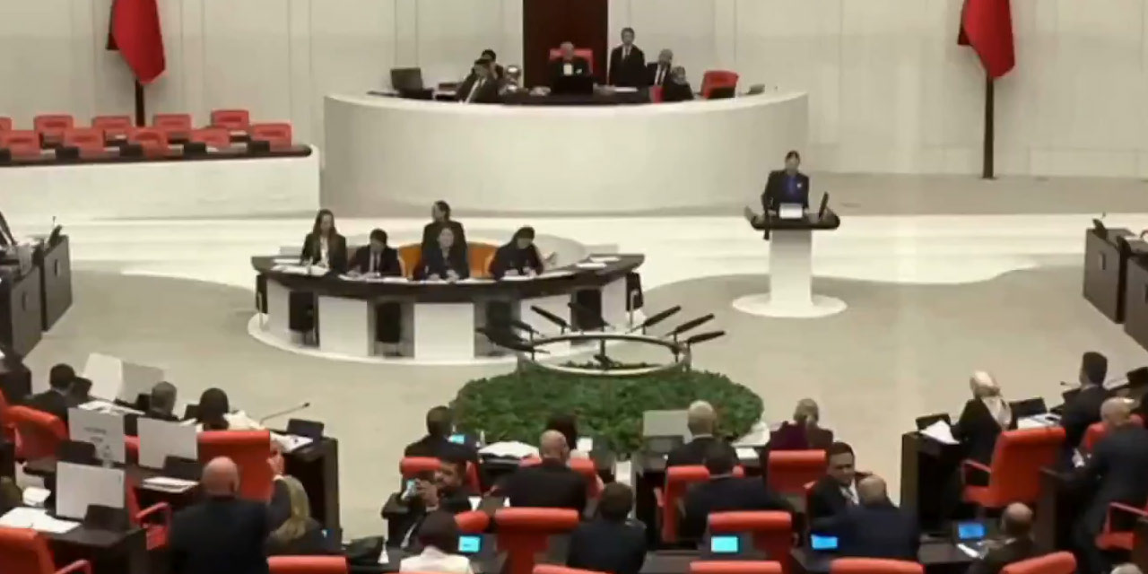 AKP’li vekilin Filistin sözlerine Tanal’dan sert tepki