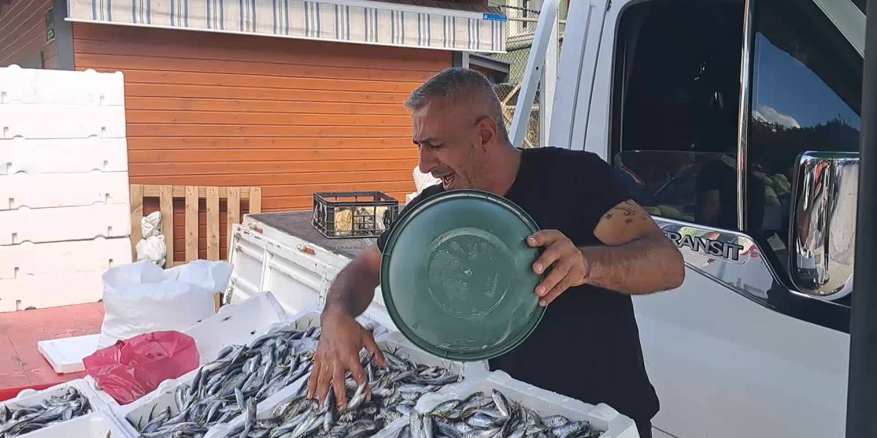 Ardanuç'taki balıkçıdan çarpıcı uyarı: “Piyasa çok kötü, balığın sadece adı kaldı”