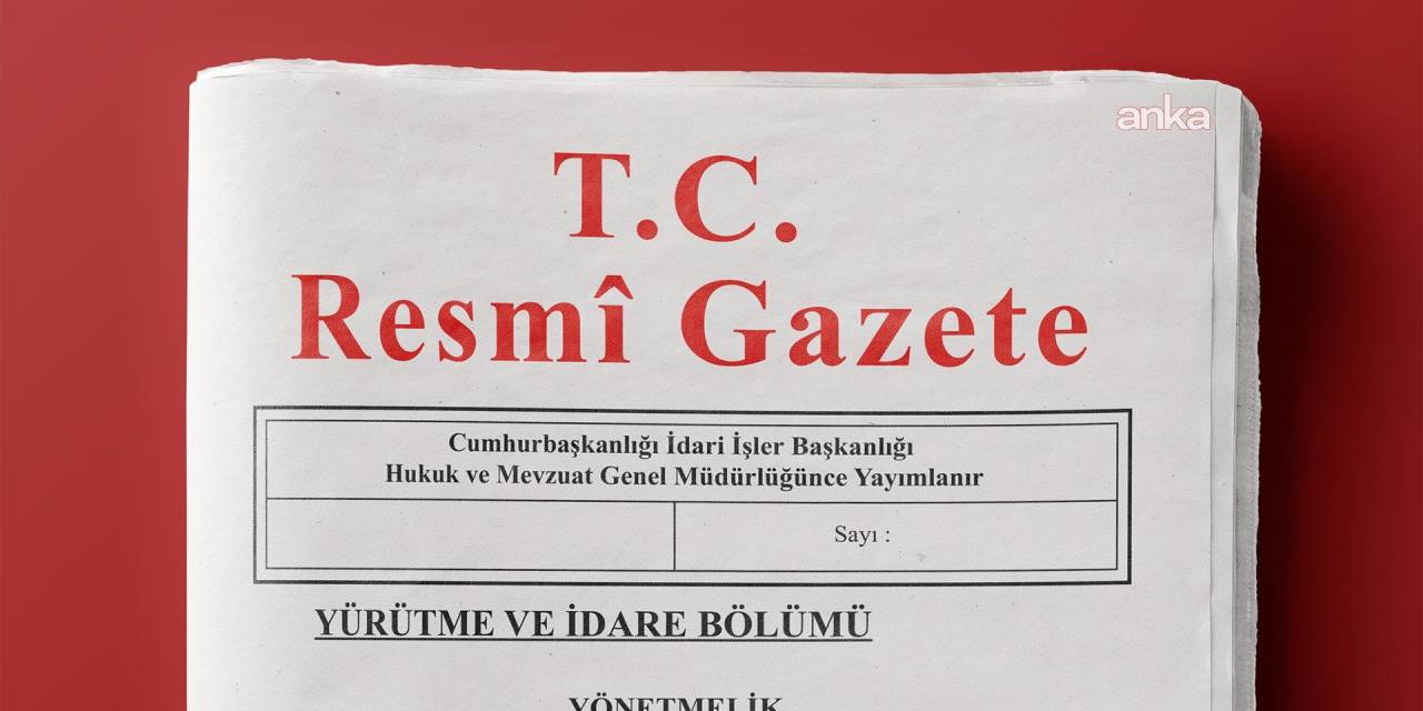 Bolu ve Burdur'da sahipsiz hayvanlara destek birliği kurulacak