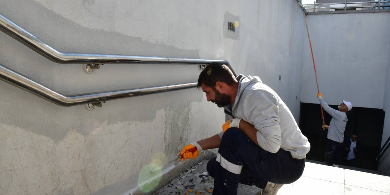 Çiğli'de ağaç budama çalışmaları devam ediyor