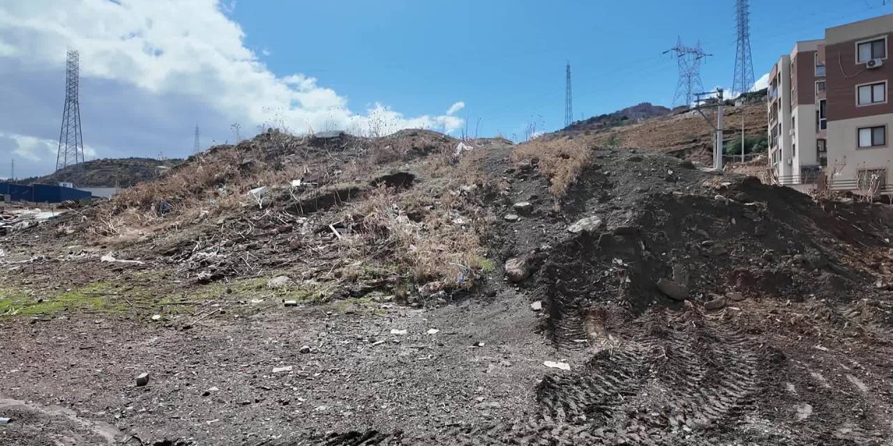 Bornova Belediyesi, Işıkkent’teki atıl alanı misket üzümü bağına dönüştürüyor