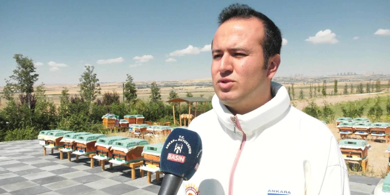 Ankara'da yeni Arıcılık Merkezi açıldı