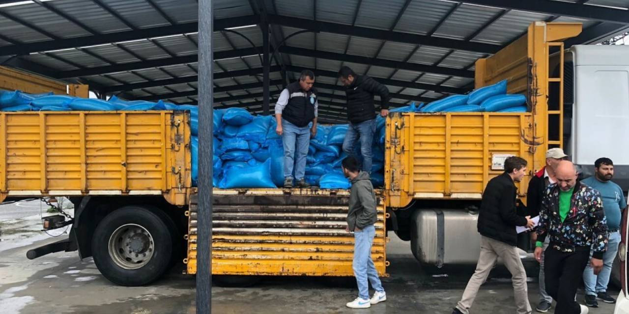 Silivri'de hayvancılara tritikale yemleri ulaşıyor