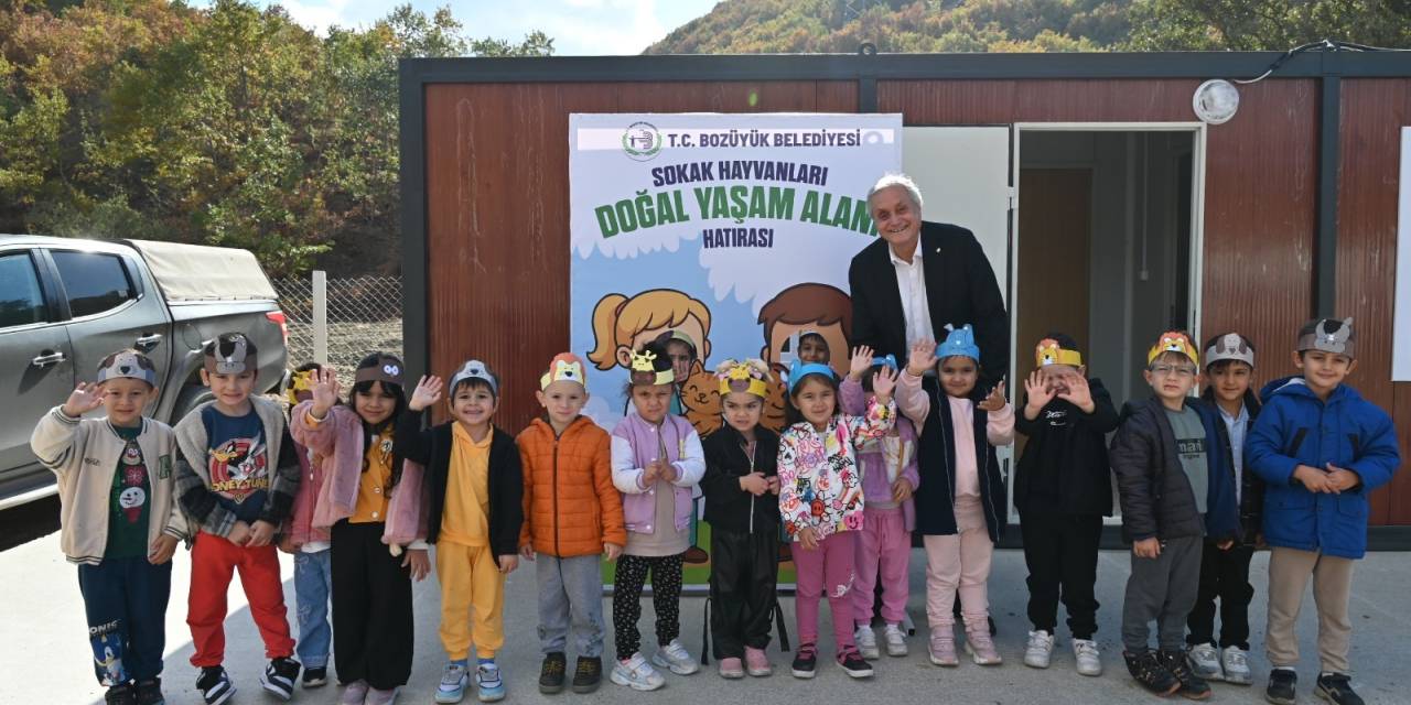 Bozüyük'te Sokak Hayvanları için yeni Yaşam Alanı açıldı