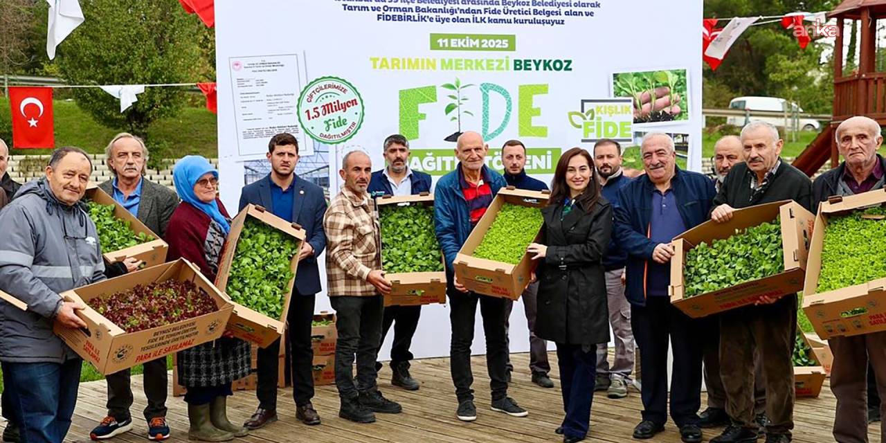 Beykoz Belediyesi 1,5 milyon fide ile üreticiyi destekliyor