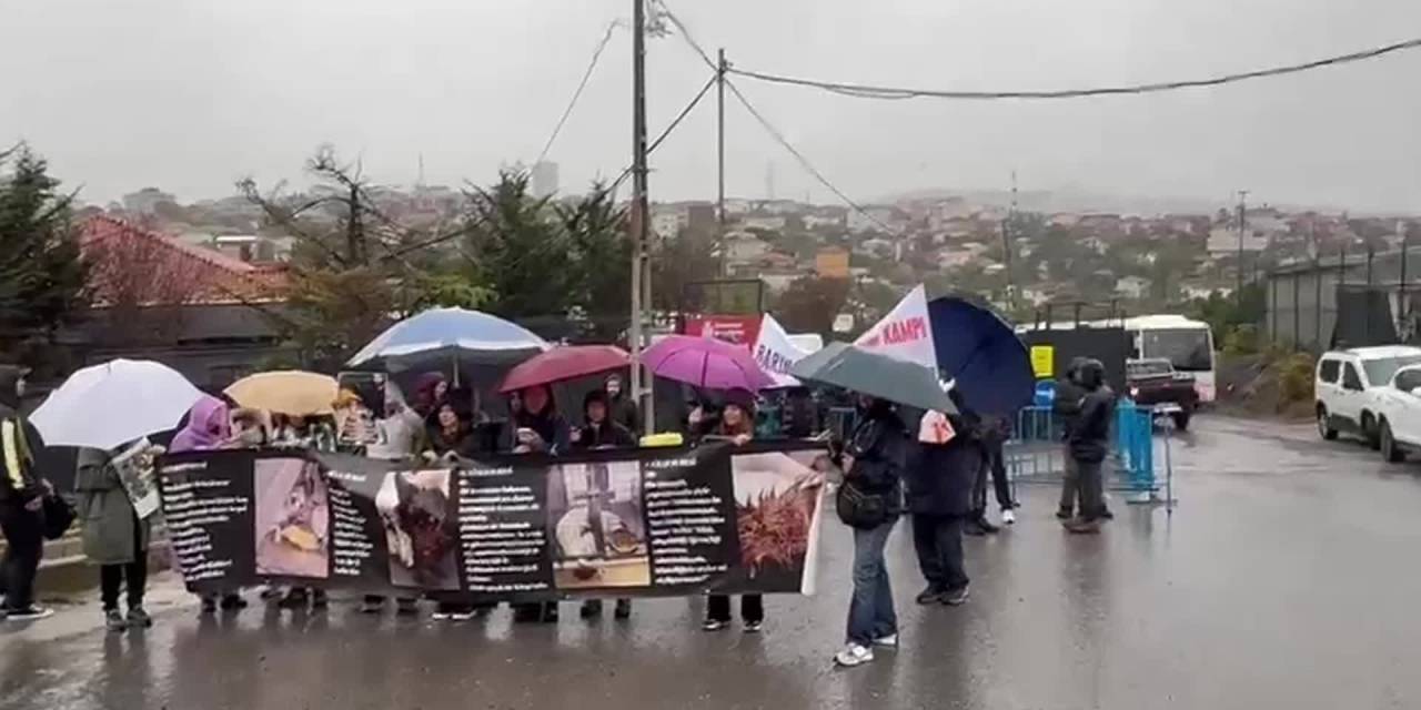 Hayvan katliamı protestosu Ümraniye Hekimbaşı Barınağı'nda
