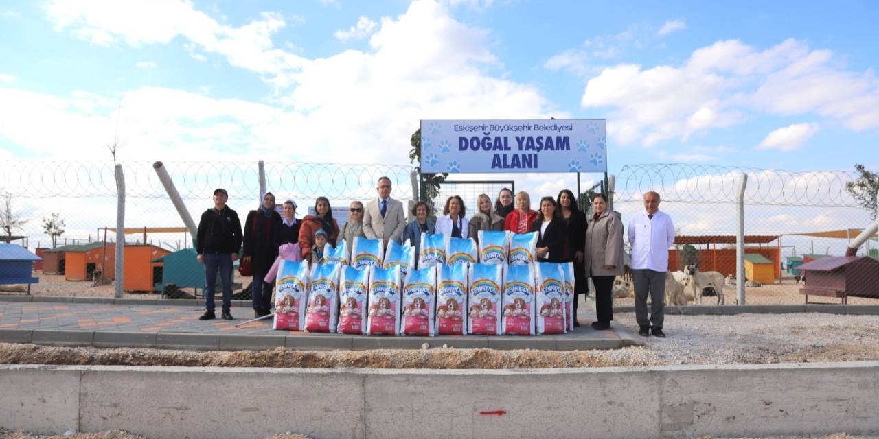 Eskişehir Kent Konseyi'nin sokak hayvanlarına önemli katkısı