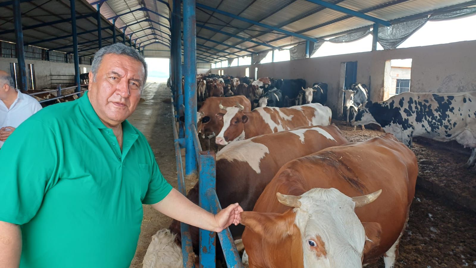 Gürer: “Büyükbaş ithalatı artıyor, et fiyatı yine düşmüyor”