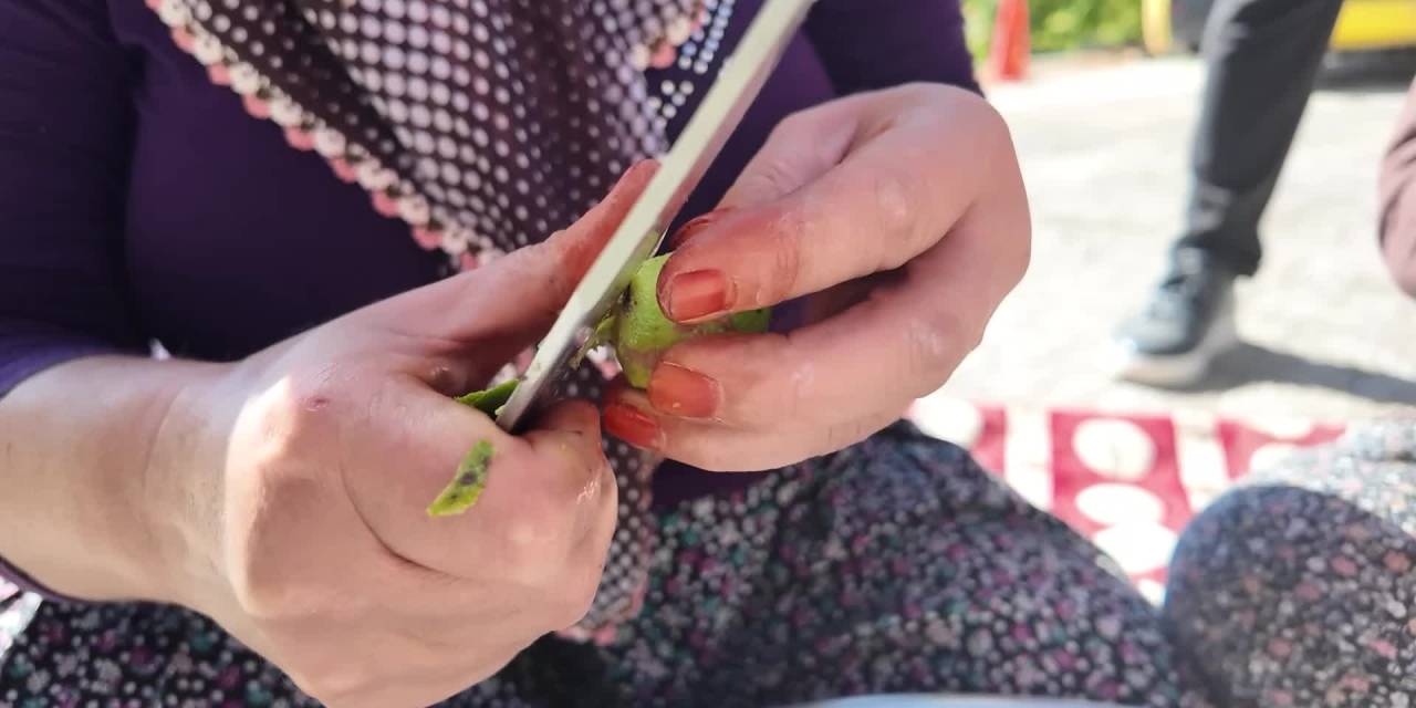 Mersin Büyükşehir Belediyesi'nden üreticilere ceviz soyma makinesi desteği