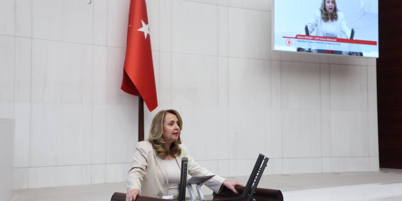 Asayiş sorunları artıyor: CHP'den araştırma önergesi