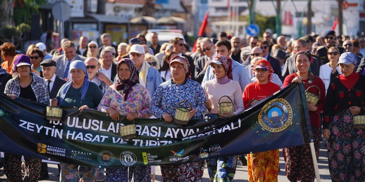 Ayvalık'ta Zeytin Festivali için geri sayım başladı