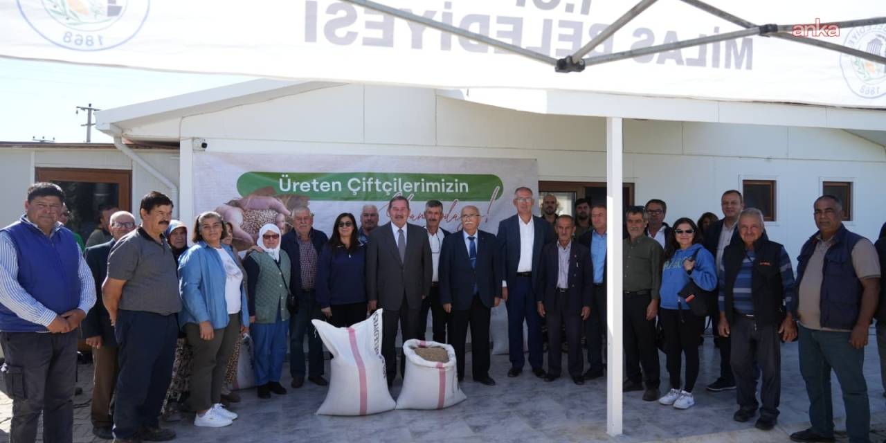 Milas Belediyesi, üreticilere Karakılçık buğdayı tohumu dağıttı