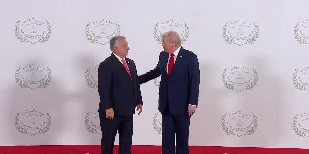 Gazze için barış adımı