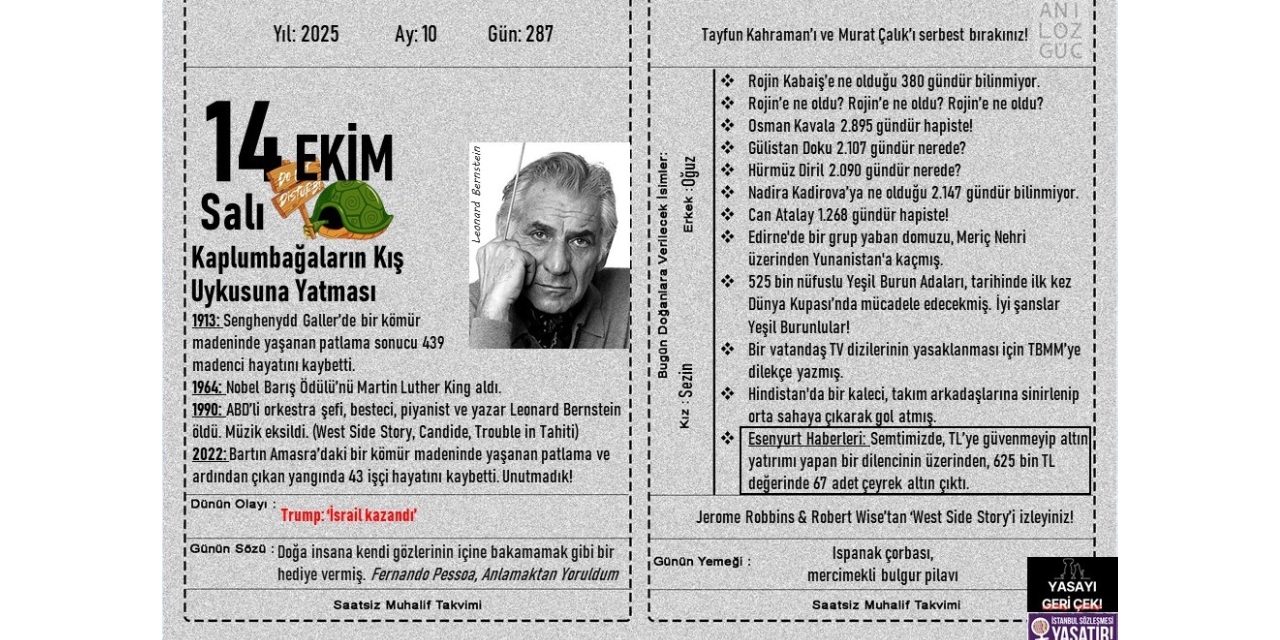 Kaplumbağaların Kış Uykusuna Yatması