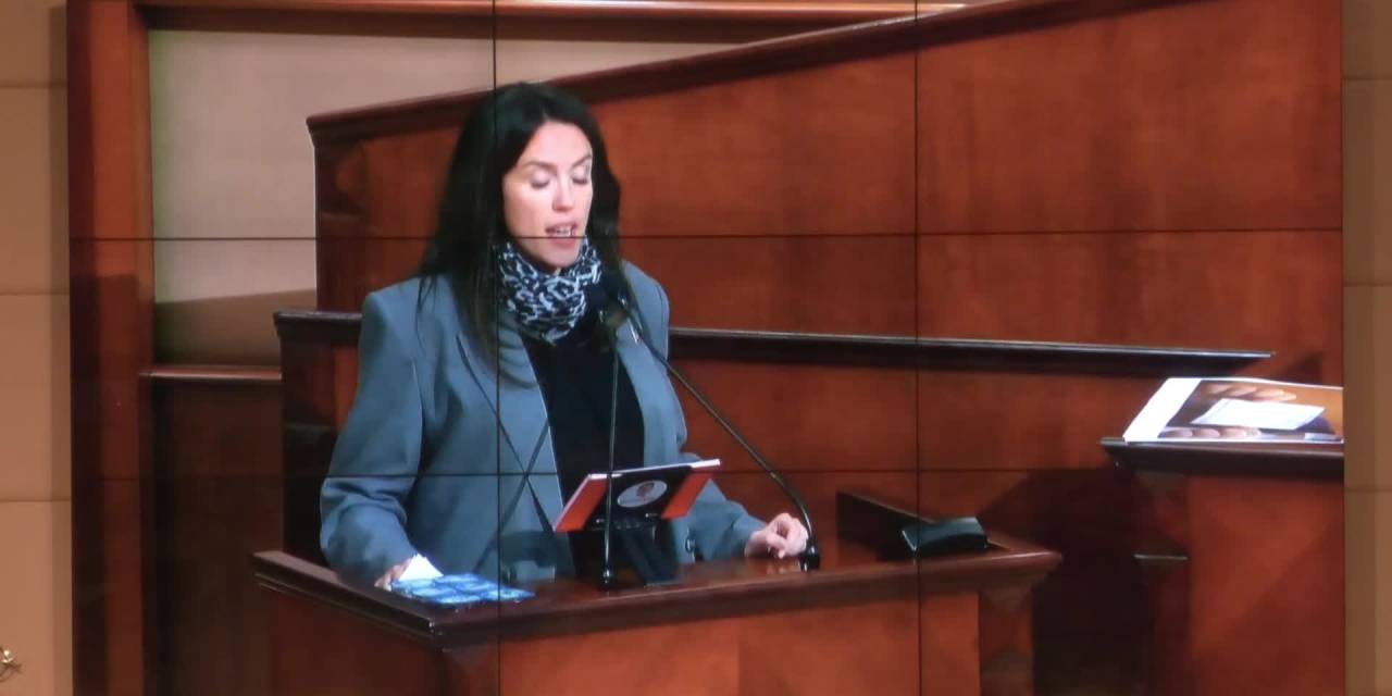 Seda Türkoğlu Çam: Bayrampaşa'da irade gaspı var