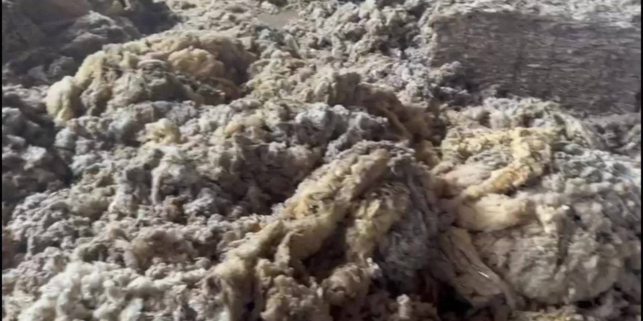 Malatya'da çöpe giden yünler ekonomik değere dönüşüyor