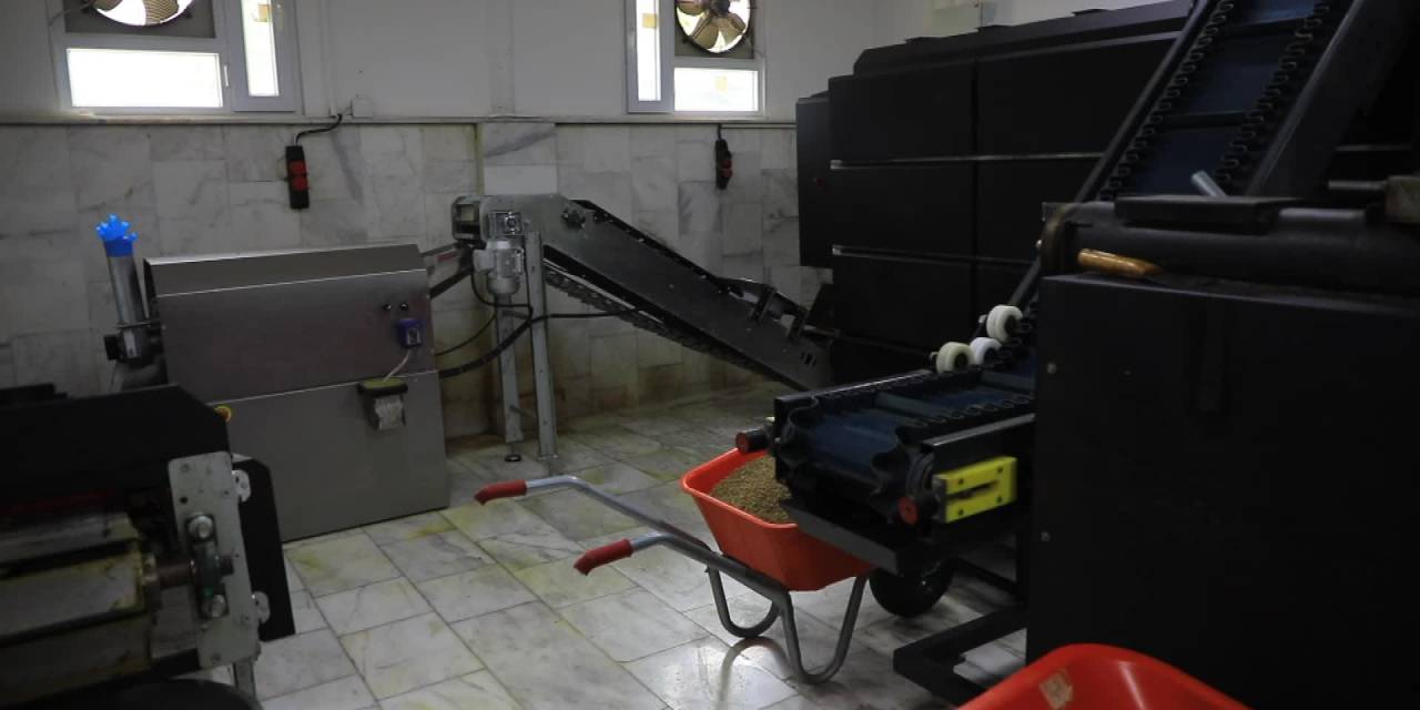 Muğla Büyükşehir Belediyesi, hayvan dostları için 42 ton mama üretti