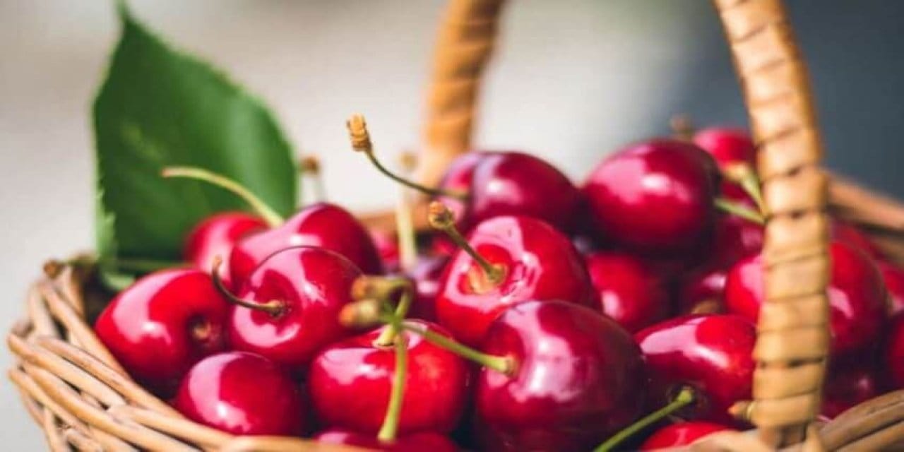 Meyve fiyatları rekor kırdı