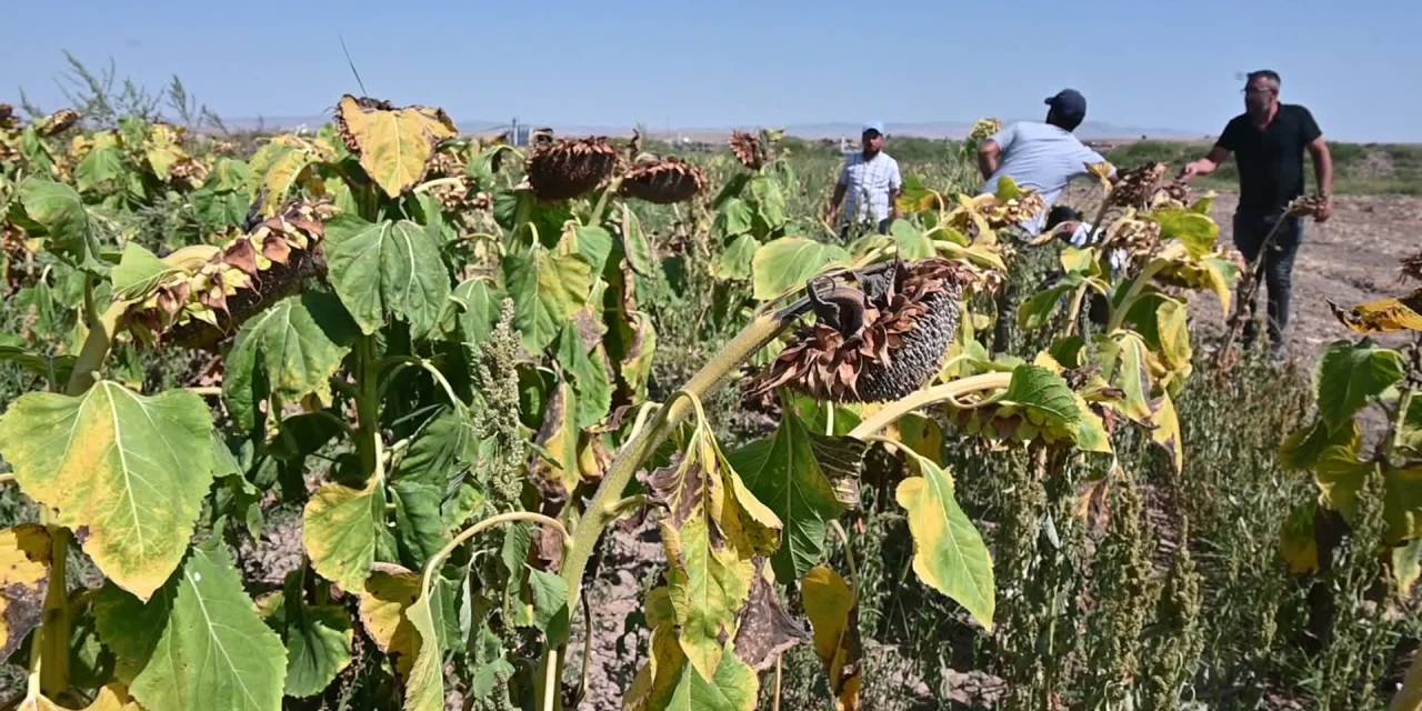 CHP Yozgat İl Başkanı Yaşar: Çiftçi borçlarına faiz indirimi iddiaları gerçek değil