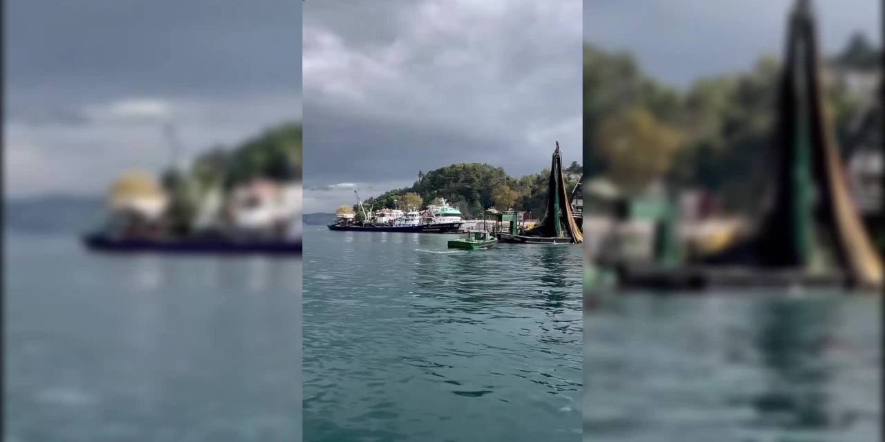 Gırgır balık avı görüntüleri İstanbul'da tartışma yarattı