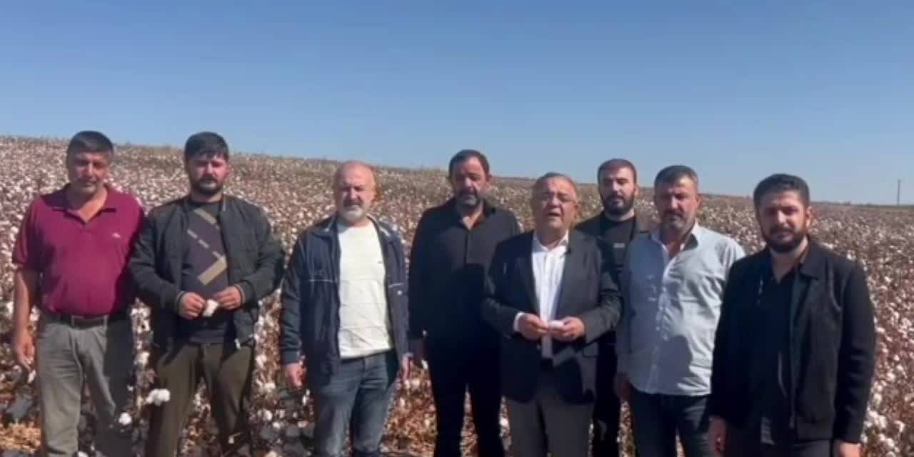 CHP'li Tanrıkulu'dan acil uyarı: Pamuk üretimi sıfıra inebilir