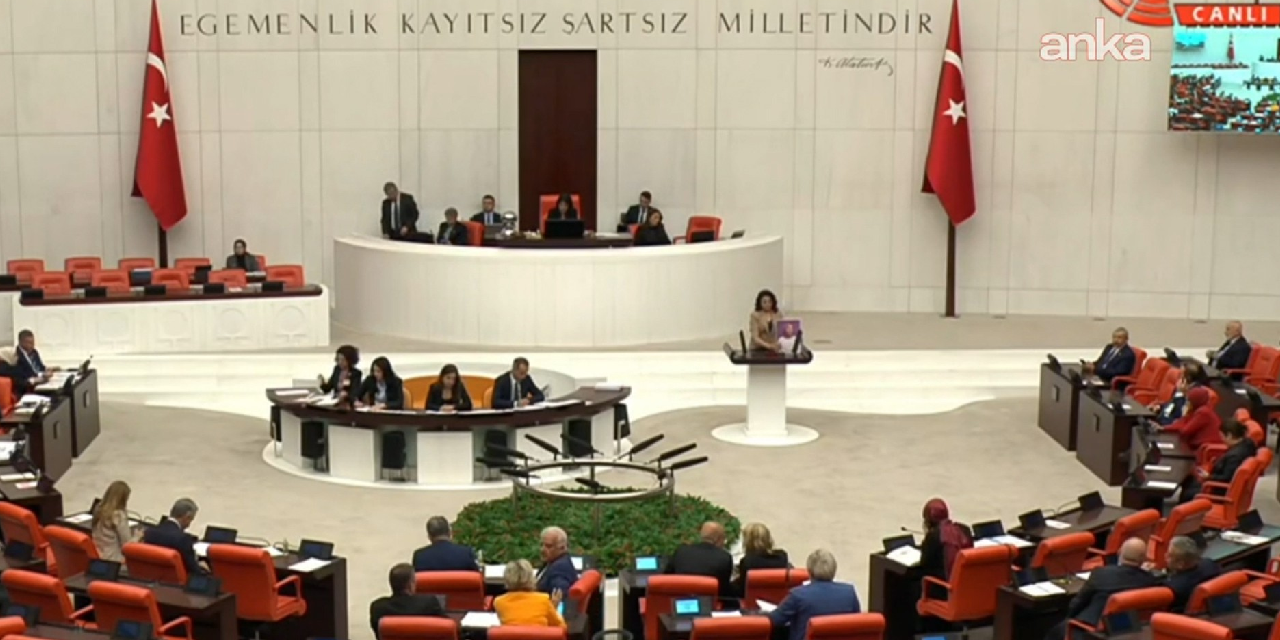 Rojin Kabaiş’in ölümünün araştırılması önerisine AKP ve MHP'den ret!