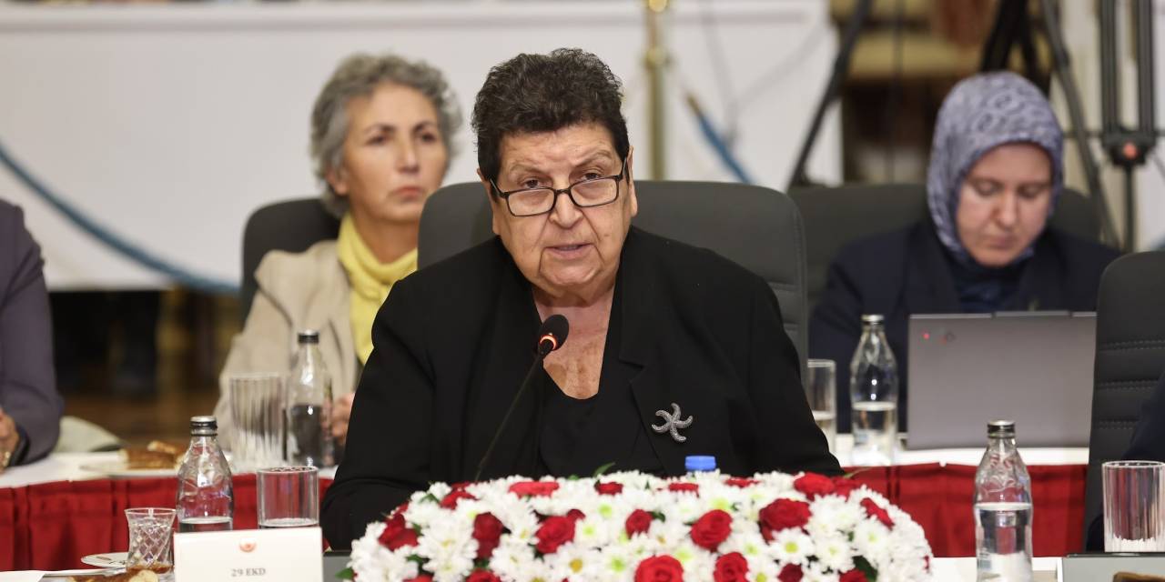 Şenal Sarıhan: Cezaevleri ile barış inşa edilemez