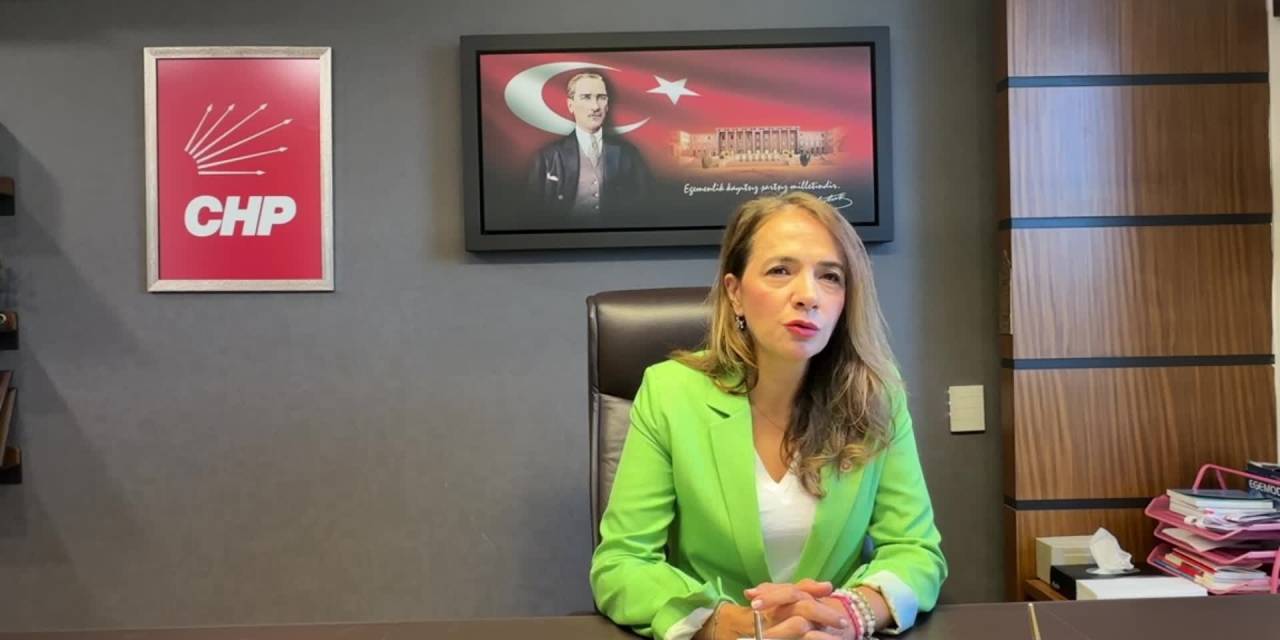 Cezaevlerindeki insanlık dramı: CHP'li İlgezdi’den araştırma önergesi