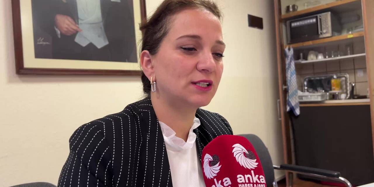 Almanya'da Anadolu Üniversitesi'nin Türk Dili ve Kültürü Programı tanıtıldı