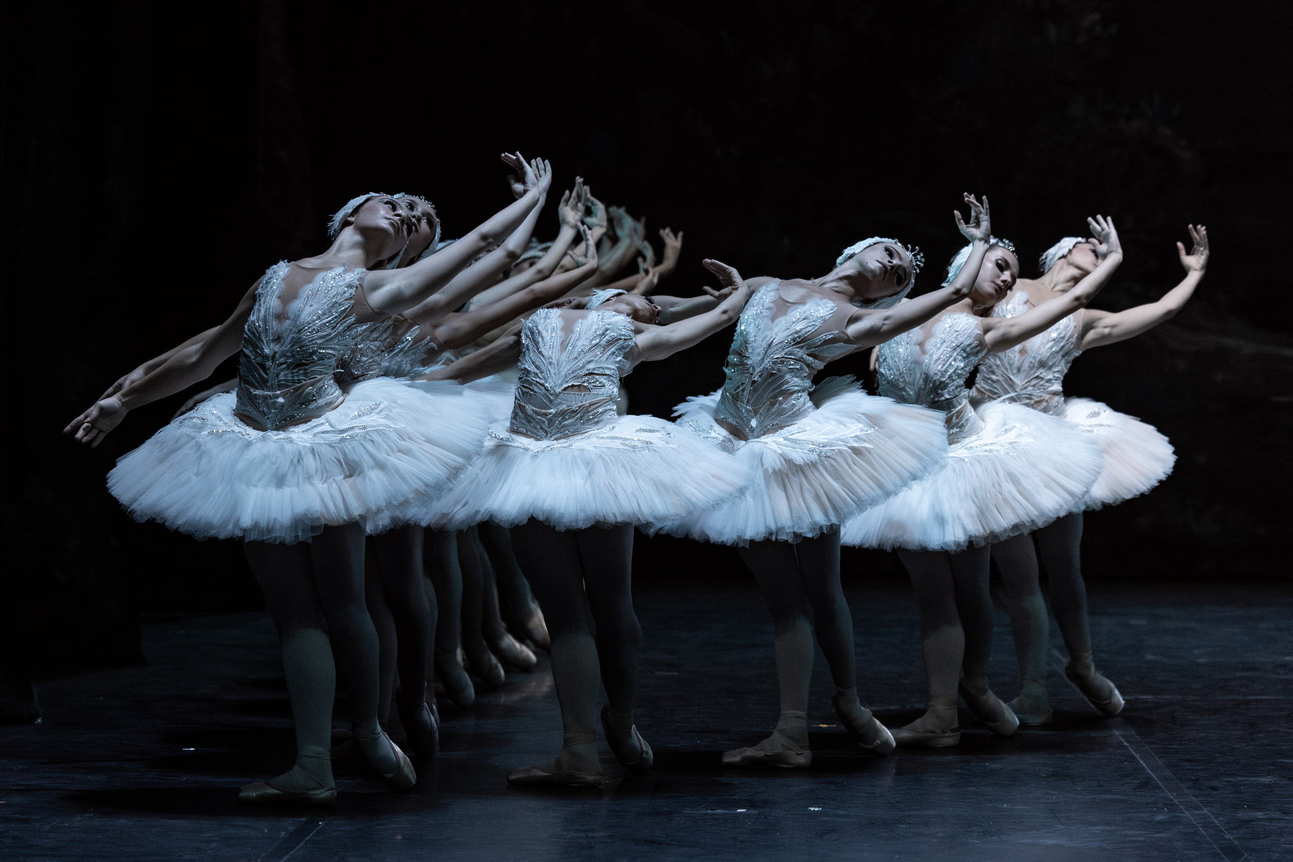 Bir düşün içinde dans: “Kuğu Gölü” Balesi İstanbul prömiyerine hazırlanıyor