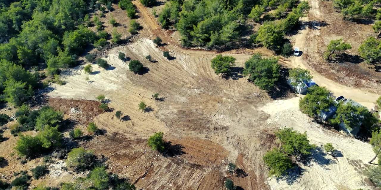 Mezitli'de sokak hayvanları için yeni yaşam alanı oluşturuluyor